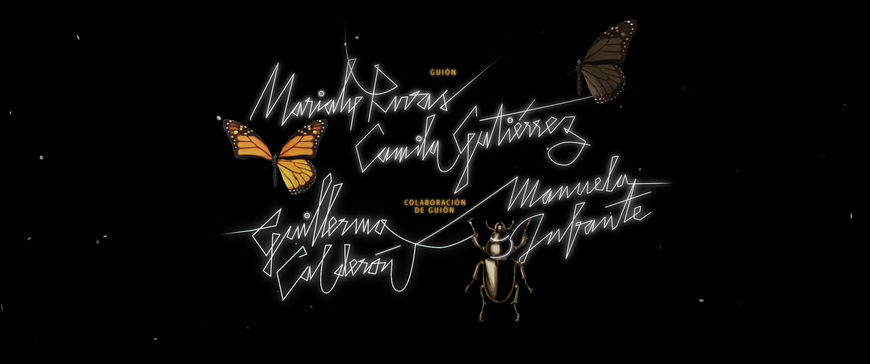 IMAGE: Still - Credit - butterfly and three names
